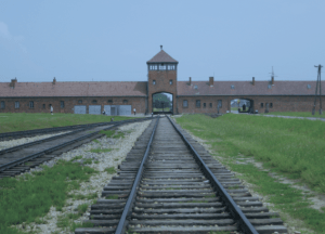 Screen Shot 2015-01-29 at 11.21.24 AM