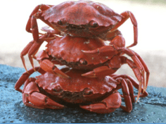 Screen Shot 2015-05-07 at 9.25.09 AM